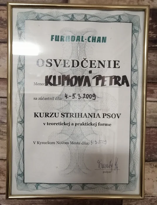Osvedčenie o absolvovaní seminára